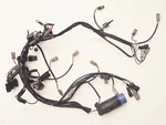 Evinrude Outboard Wiring Harness Assy 1998-1999 90-115HP 586266 (C1-3). Fixed Price $65.00.
