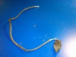 0586405 Zz Switch Johnson Evinrude. Fixed Price $9.55.