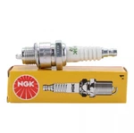 Ngk 4495 / BPZ8H-N-10 V-power Nickel Standard Spark Plug Gap .039" Projected. Fixed Price $9.90.