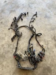 Genuine Oem Yamaha Harness W/warranty+freeshipping 6AW-82590-00-00 (A43). Fixed Price $400.00.