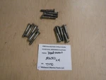 306500 Evinrude 1998 Ficht 115HP E115FTLECS Head Screws (14) T170. Fixed Price $17.99.