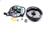 Evinrude E2RCIB 2HP Magneto 1981 Outboard. Fixed Price $95.62.