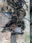 Yamaha Complete Engine Wire Harness Assy, 6D0-82590-20-00, 2005 300 Hpdi 41EP-20. Fixed Price $489.98.