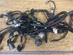 Month Warranty Oem 6CE-82590-13-00 Yamaha Wiring Harness 300 Hp. Fixed Price $449.99.