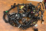 Yamaha Wire Harness 6AW-82590-01-00 F350 2007 4 Stroke Model Outboards. Fixed Price $112.95.