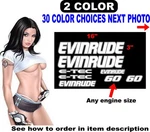 Evinrude Engine Cover Boat Motor Decals Sticker Etec Outboard Replacement. Fixed Price $38.00.