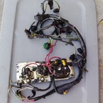 Mercury 225HP Stroke Outboard 3.0L Engine Wire Harness 825433A7. Fixed Price $75.00.