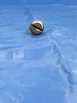 323783- Omc Screw, Plug. Fixed Price $6.25.
