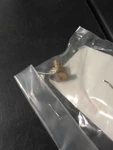 Yamaha Oem 65L-14992-00-00 Screw Drain Nos. Fixed Price $8.86.