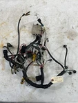 Mercury 40HP Wire Harness (carb). Fixed Price $200.00.