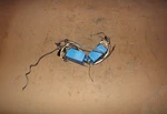 1991 Force 90 Hp Stroke Cdi Module Pn 888788,F685301-2. Fixed Price $292.50.