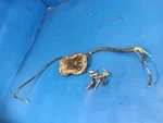 Regulator 0395204 V6 150HP Evinrude Johnson. Fixed Price $47.40.