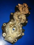 Head 0332544 150HP Evinrude Johnson V6 Gt XP150. Fixed Price $50.50.