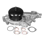 252-846 Delco Water Pump For Chevy Pontiac Gto Chevrolet Corvette Camaro. Fixed Price $203.07.