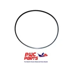Wsm Polaris Inner Cylinder O-ring 008-665 1996 Sl 900 & 1997. Fixed Price $9.95.