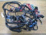 *90 Day Warranty* Mercury Wire Harness 84-892579A06. Fixed Price $239.16.