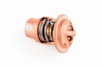 Wsm Thermostat For Mercury 6 125 Hp 775-20. Fixed Price $30.87.