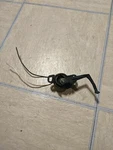 1997 Johnson Evinrude 70HP Trim Sender Unit Assembly. Fixed Price $75.00.