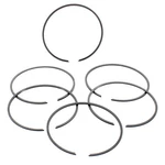 Mercury Marine New Oem Piston Ring Set 39-96170A4. Fixed Price $143.88.