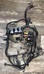 2008 Mercury Dfi Optimax 200HP Engine Harness 84-892971T05 819514T26. Fixed Price $134.99.