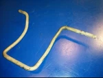0307245 Yy Tilt Rod Shaft 60652R Johnson Evinrude Omc 60HP (1 A8). Fixed Price $16.50.