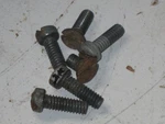 Vintage 1953 Johnson Seahorse 10HP QD-14 Cowling Shroud Cover Screws. Fixed Price $7.00.