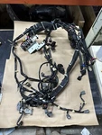 *90 Day Warranty* Oem Yamaha Wire Harness Assembly Pn# 6AW-82590-00-00 (B-81). Fixed Price $249.99.