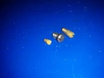 Carburetor Orifice 317474 324389 Plug 0330131 Omc 115HP Evinrude Johnson. Fixed Price $22.00.