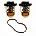 Genuine 115HP 135HP 150HP Honda Thermostat & Seal Kit BF115D BF150A Outboard. Fixed Price $122.61.