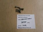 307151 Johnson 1973 6HP 6R73S Outboard Gearcase Screw (4) T179. Fixed Price $9.99.