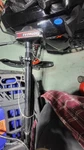 Johnson Trolling Motor BFX4TPP 98. Fixed Price $350.00.