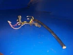 Part Of 0390726 For 0391040 0391043 J85MLCSA Johnson Evinrude 85HP. Fixed Price $29.00.