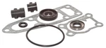 Evinrude Johnson Gearcase Seal Kit 4 6 Hp Stroke 1980-2005. Fixed Price $32.12.