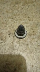 Vintage 1956 Gale Mw Sea King 3HP GG9000A Outboard Motor / Propeller Nut. Fixed Price $6.00.