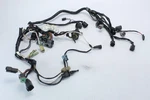 Oem Evinrude Johnson 2003 Complete Engine Wiring Harness Assembly 50 Hp 4-STROKE. Fixed Price $185.00.