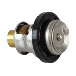 Outboards 122 Johnson Evinrude 40 70 Hp Thermostat For Omc 5030742. Fixed Price $25.99.