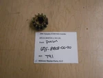 67F-81808-00-00 Yamaha 2006 F250TXR Outboard Pinion T91. Fixed Price $40.00.