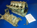 Cylinder Block Crankcase 3997A3 929-2457 834-3261 Mercury 65HP 650. Fixed Price $199.00.