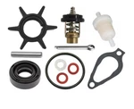 3GR-87500-0 Outboard Maintenance Kit For Tohatsu Mfs 4HP 5HP 6HP 6C 4-STROKE. Fixed Price $42.99.