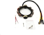 6AMP Outboard Stator For Suzuki 1979-1987 75 85HP 3CYL 32101-95500 32101-95501. Fixed Price $161.90.