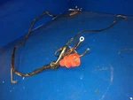 Cable 0584390 Wiring Wire 115HP 88HP Johnson Evinrude. Fixed Price $78.55.