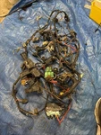 Yamaha F200-F225HP F225TXRC 2003 Wire Harness Engine Cable 69J-82590-40-00 #2. Fixed Price $94.95.