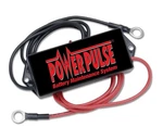 Pulsetech Powerpulse Battery Maintenance System 24V. Fixed Price $77.53.
