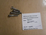 337243 Evinrude 1998 9.9HP E10FRELECM 4-STR Outboard Screws (4) 8X1.25X45 T134. Fixed Price $13.99.