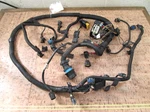 0780 Mercury Efi 30 40 Hp Engine Wire Harness Model 878132T04. Fixed Price $299.99.