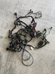 Yamaha F250 4.2L Wire Harness. Fixed Price $650.00.