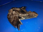 61831-87L20-0EP 61831-87L00-0EP ? Cover Panel Suzuki 90HP DF90A. Fixed Price $89.54.