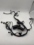 Evinrude Engine Harness Assembly Pn 0587050. Fixed Price $140.00.