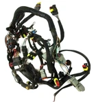 Evinrude E-tec/etec Engine Wire Harness 0586972 '08-10 40-65HP 2-STROKE. Fixed Price $35.00.