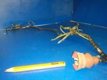 0582161 Cable Wiring Wire Plug Johnson Evinrude 115HP. Fixed Price $45.00.